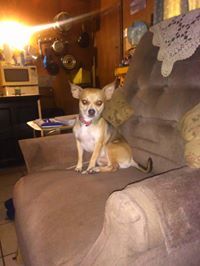 Freida Boyles Martinez