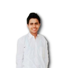Raghav Arora