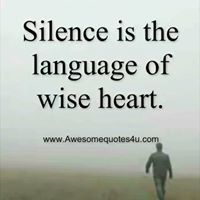 Badr Shareef