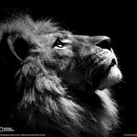 عبدالمنعم محمد