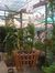 Long thanh