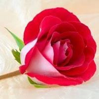 عبدالصبور عبيدالله