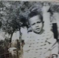 محمود عبد الحميد