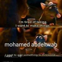 Muhammad Abdeltwab