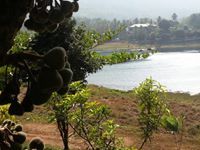 Yashaswini Usurupati