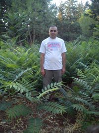 عزالدين باسم