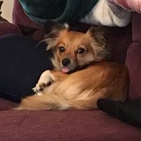 Loretta Reinhardt Mihalyo