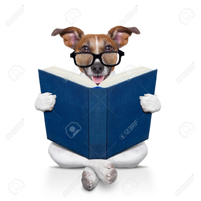 Goodreads profile picture for @moras