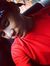 Azman L...