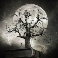 وحيدة كالقمر