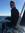 Marcus