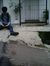 Muhamma...