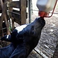 Rena Kellogg-Pendleton