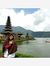 Andi Yu...