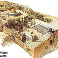 منى أبو حشيش