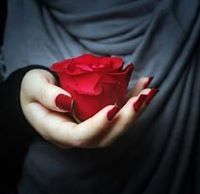 Nour Noussi