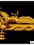 Sudha S...