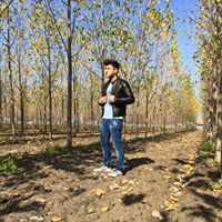 Rishabh Sharma