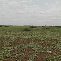 Abdelelah Nouraldaem