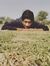 Kartike...