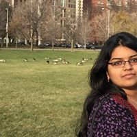 గోరంట్ల శృతి