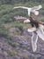 Abdrie ...