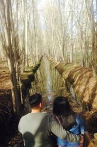 Enhtsetseg Damiranjav