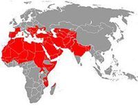 تاريخ العالم الاسلامي