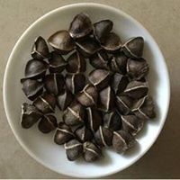 القصبات والحدائق