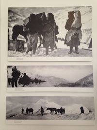 Данијела Јоксимовић