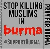 وفاء أحمد ثابت