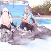 Mohamed Abdel Aal