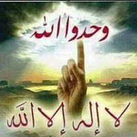 mamoun alaoudi