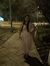 Shail M...