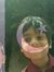 Aazer Khan