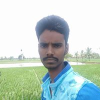 Anand Vishva