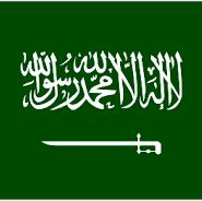 محمد الشامان