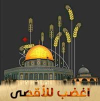 أنس ابراهيم