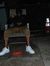 Kevin P...