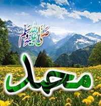 Mujeeb Farooqi