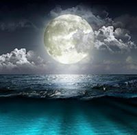 عبد الرحمن سامح