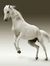 Sagar T...