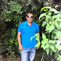 هيما المصرى