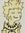 Andhika Nurrafli