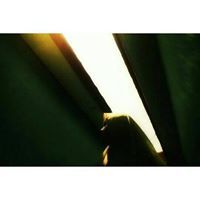 Ziyan Maulida Rahmah