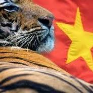 Kiệt Nguyễn