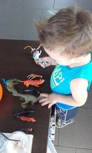 Κρυσταλλία Στάθη-Κλεινάκη