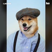 Хувьтөгөлдөр Г.