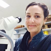 Kate Mintram-Dorrough