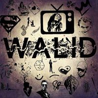 Walid Mohamed